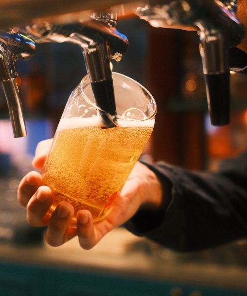 WhatsApp Image 2025-01-25 at 00.35.53_09a523e7